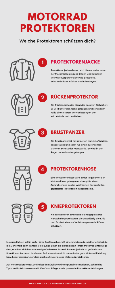 Preview Infografik zu Motorradprotektoren